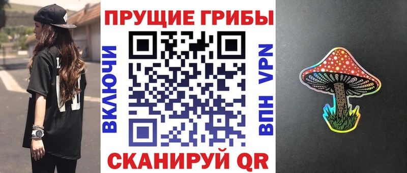 Псилоцибиновые грибы Psilocybine cubensis  Купить закладки  Катав-Ивановск 